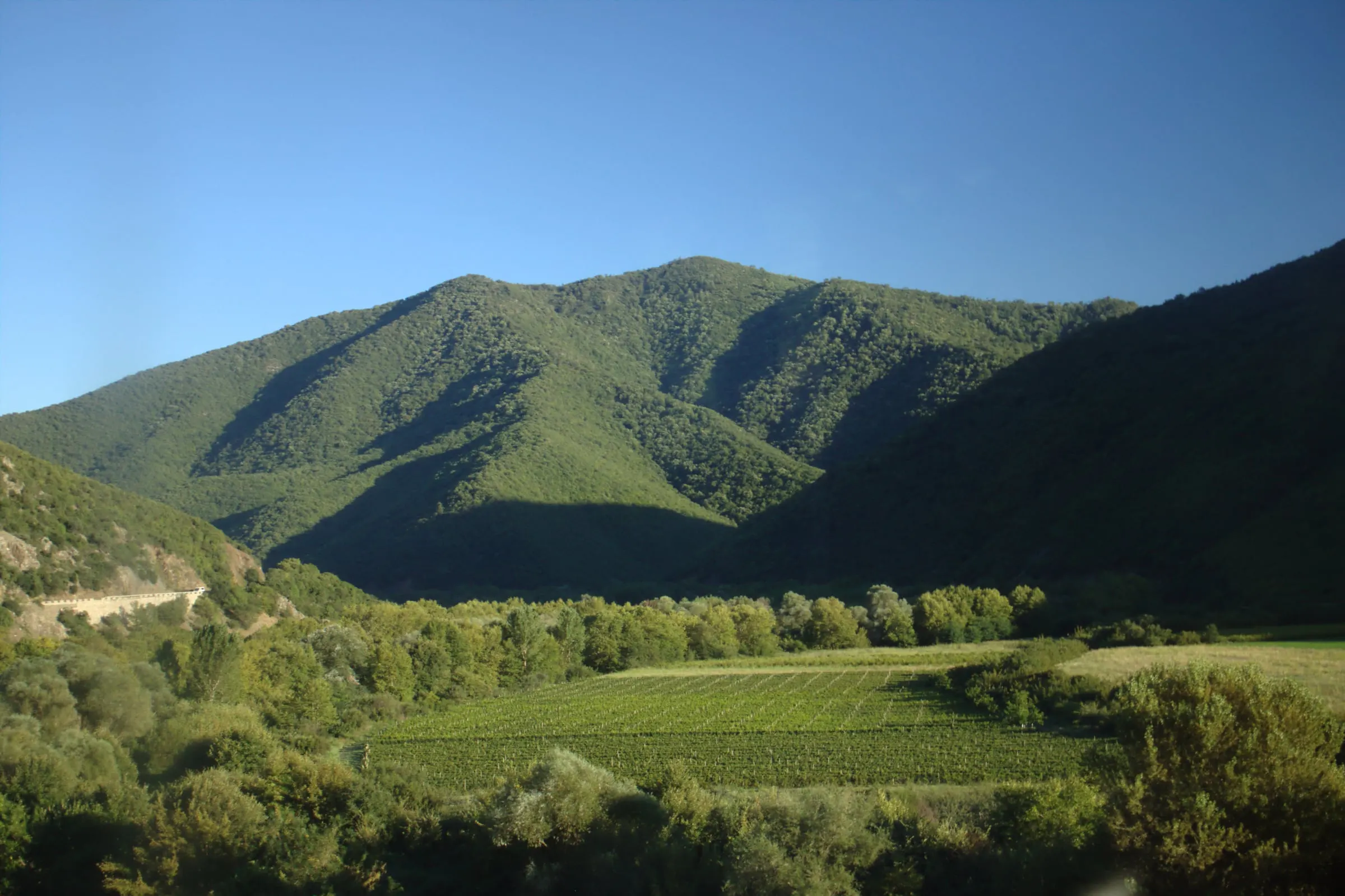 Vineyards on the valley floor below wooded hills near Demir Kapija